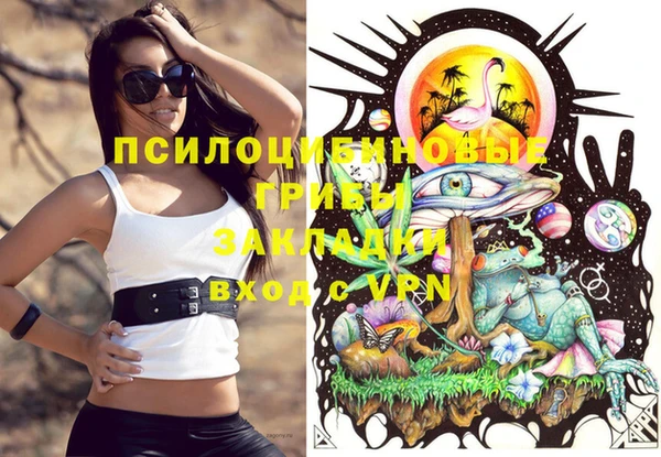 spice Володарск