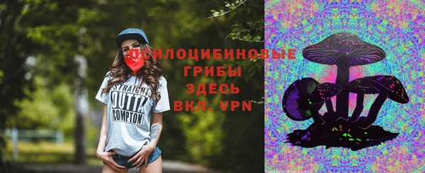 spice Володарск
