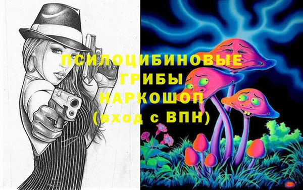 spice Володарск